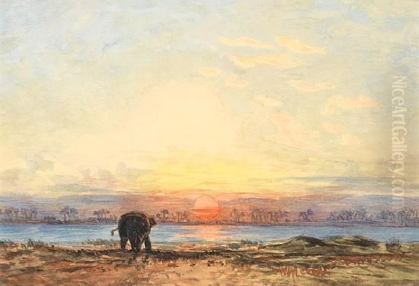 An Elephant At Dusk Oil Painting by Eduard Hildebrandt