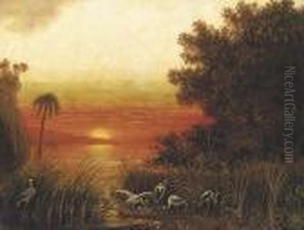 A South American Landscape With Storks By A Lake At Sunset Oil Painting by Eduard Hildebrandt