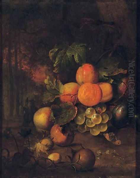 Peaches, plums, grapes, medlars and nuts in a wooded clearing with a butterfly Oil Painting by Jan Mortel