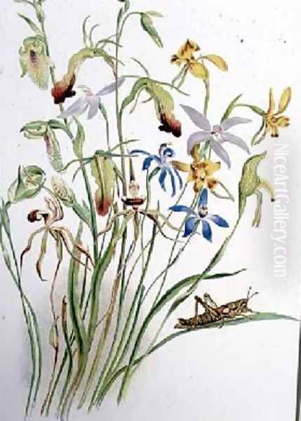 Iris and Blue Speedwell Oil Painting by Caroline Louisa Meredith