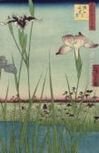 The Iris Garden At Horikiri Oil Painting by Utagawa or Ando Hiroshige