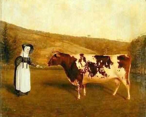 Shorthorn Cow 1840-50 Oil Painting by James Flewitt Mullock