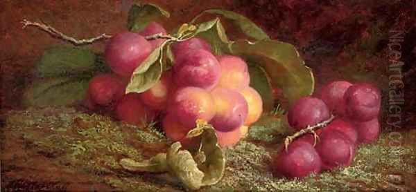 Plums on a branch Oil Painting by John Fitz Marshall