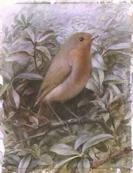 Robin on a Twig Oil Painting by Alexander Macdonald