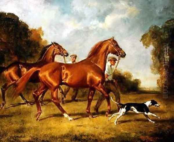 Exercising the Horses Oil Painting by H. Raoul Millais