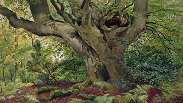 Burnham Beeches Oil Painting by James Matthews