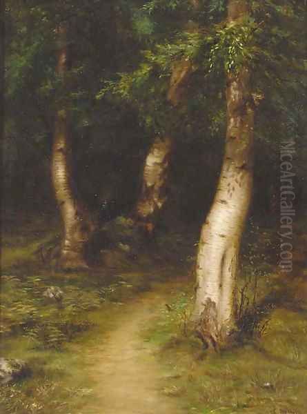 A glade in a birch wood Oil Painting by James Coutts Michie