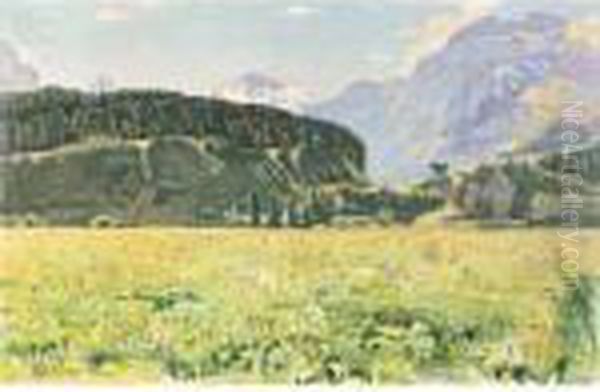 Sommerlandschaft Bei Interlaken Oil Painting by Ferdinand Hodler