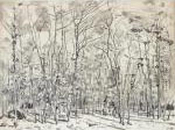 Drawing For 'the Beech Grove' Oil Painting by Ferdinand Hodler