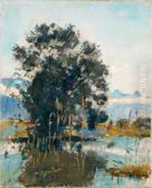 Marshland By Gwatt (lake Of Thun) Oil Painting by Ferdinand Hodler