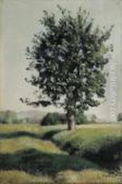 L'arbre Oil Painting by Ferdinand Hodler