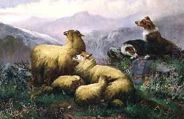 Sheep Dogs and Sheep in the Scottish Highlands Oil Painting by J.W. Morris