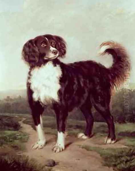 Spaniel Oil Painting by J.W. Morris