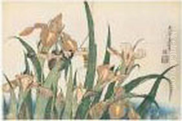 Iris Et Sauterelle Oil Painting by Katsushika Hokusai