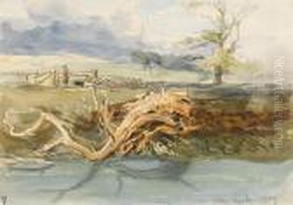 A Fallen Tree At Keele, Newcastle Under Lyme,staffordshire Oil Painting by James Holland