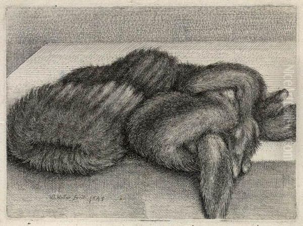 Muff And A Fur Stole On A Table Oil Painting by Wenceslaus Hollar