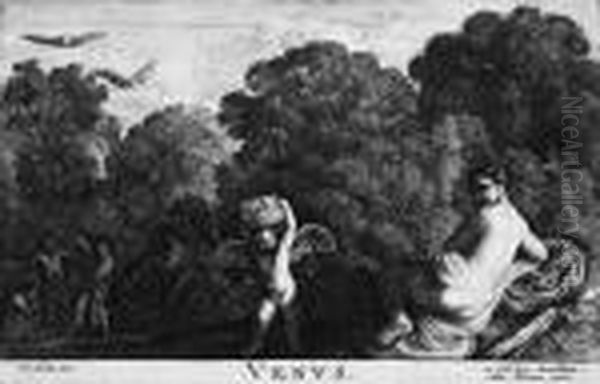 Venus Oil Painting by Wenceslaus Hollar