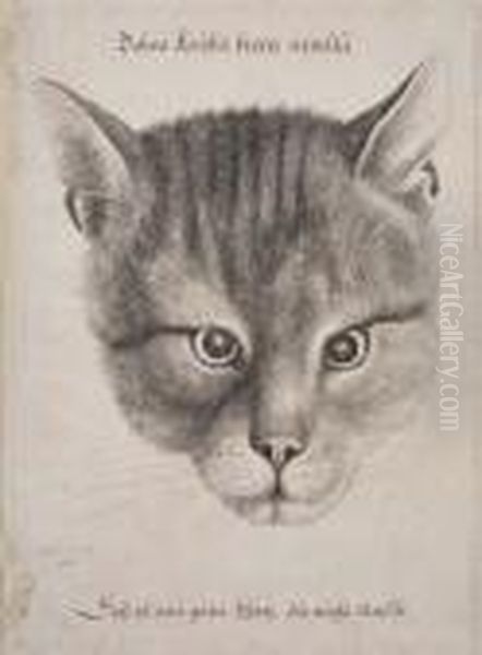 Head Of A Cat Oil Painting by Wenceslaus Hollar