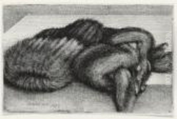 Muff And Fur Stole Oil Painting by Wenceslaus Hollar