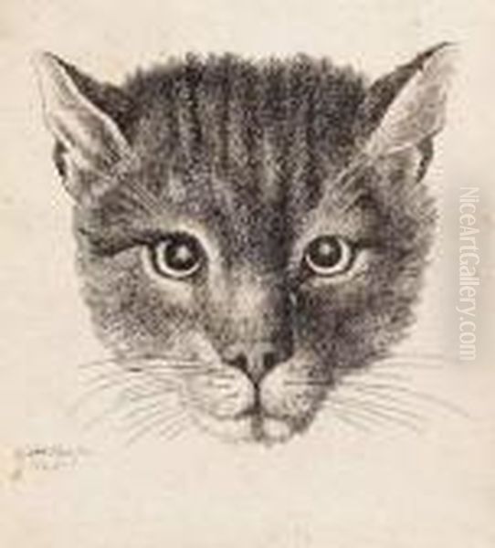 [the Small Cat's Head] Oil Painting by Wenceslaus Hollar