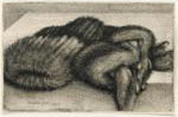 Muff And Fur Stole (p.1947) Oil Painting by Wenceslaus Hollar