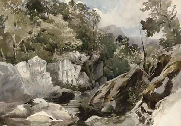 A Welsh mountain stream Oil Painting by David Hall McKewan