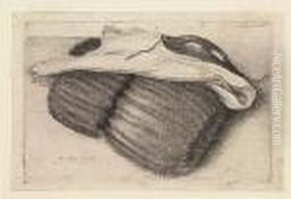 A Dark Double Fur Muff<</b> Oil Painting by Wenceslaus Hollar