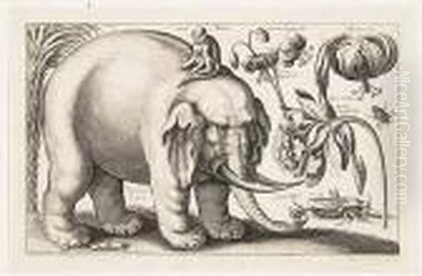 Elephant<</b> Oil Painting by Wenceslaus Hollar