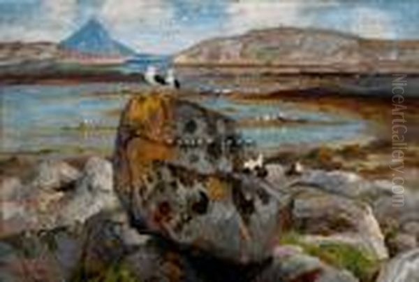 Sjofugler I Vannkanten Olje Pa Lerret Oil Painting by Thorolf Holmboe