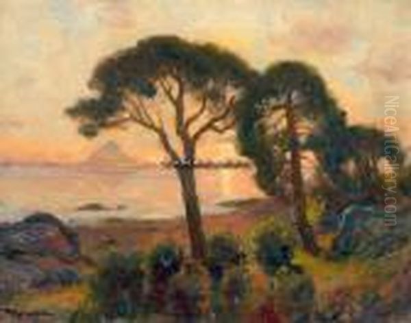 Furu I Midnattssol Olje Pa Lerret Oil Painting by Thorolf Holmboe