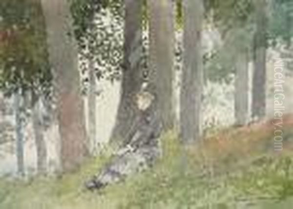 Girl Seated In A Grove Oil Painting by Winslow Homer