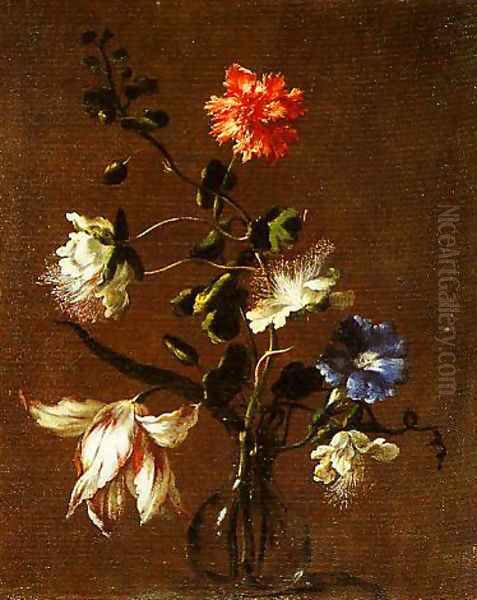 Three Caper Flowers a Carnation a Bindweed and a Tulip Oil Painting by dei Fiori (Nuzzi) Mario