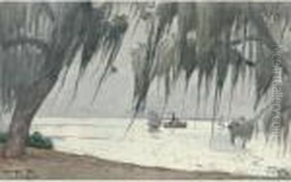 Spanish Moss At Tampa Oil Painting by Winslow Homer