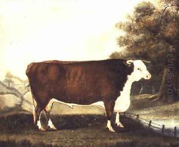 Prize Bull 10 Years Old Named Sovereign Bred by Mr Hewer of Hardwick Salop Oil Painting by J. Miles