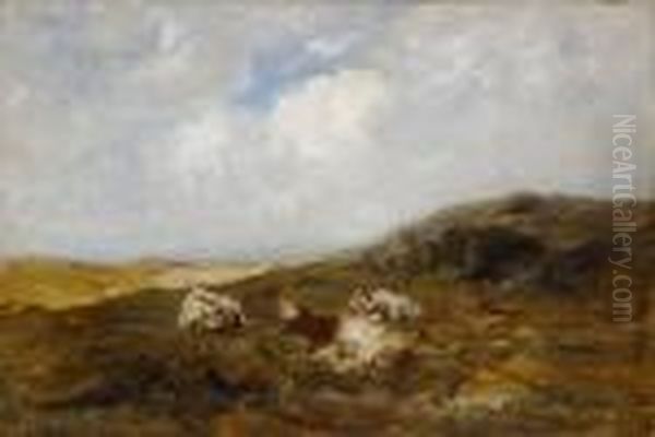 Three Cows Lying In Bent At Shore Oil Painting by Nathaniel Hone