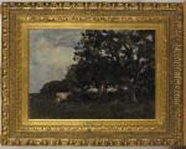 Study - Cows In A Field Oil Painting by Nathaniel Hone