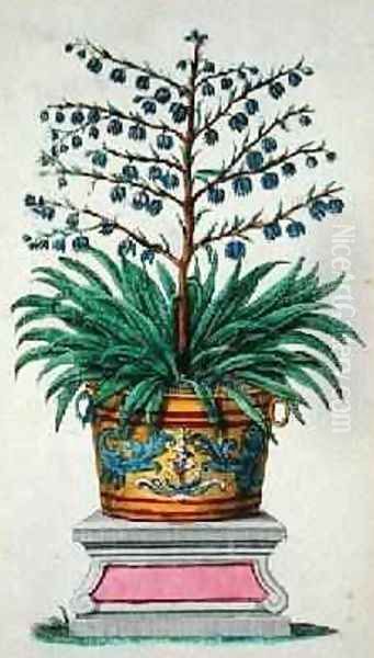 Flowering plant from Phytographia Curiosa Oil Painting by Abraham Munting