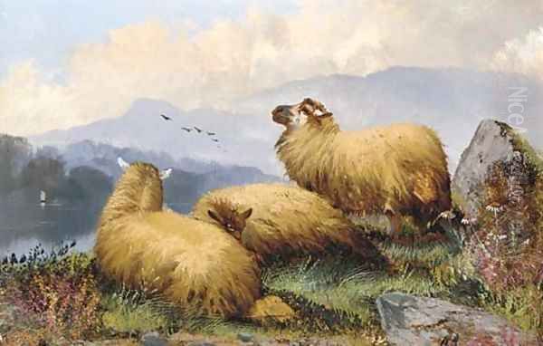 Sheep resting in a mountainous landscape Oil Painting by John Morris