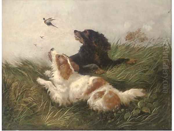 Spaniels flushing pheasants Oil Painting by John Morris