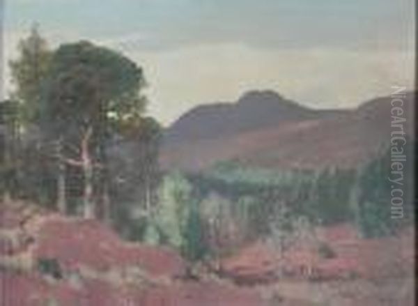 The Scots Pine Oil Painting by George Houston