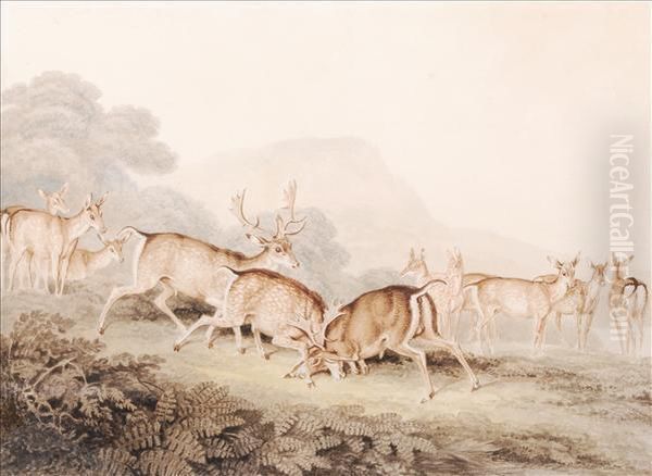 Rutting Stags Oil Painting by Samuel Howitt