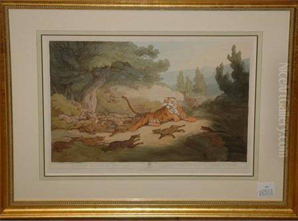 A Tiger Hunted By Wild Dogs by Samuel Howitt