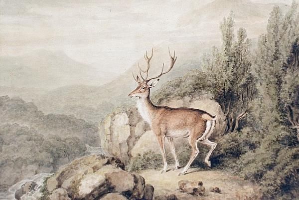 Deer In A Park Oil Painting by Samuel Howitt