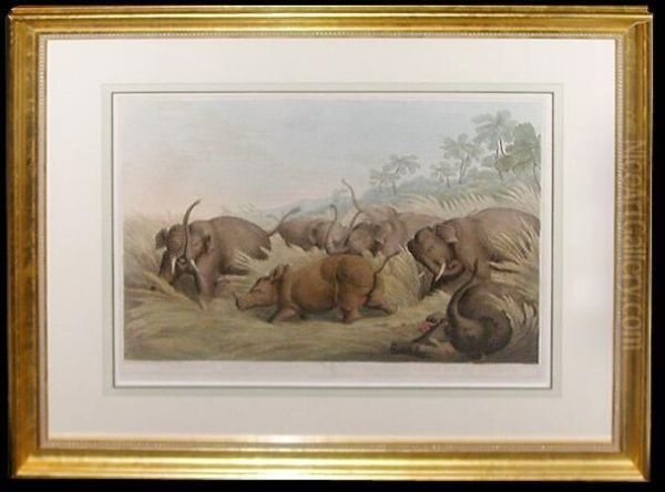 A Rhinoceros Hunted By Elephants Oil Painting by Samuel Howitt