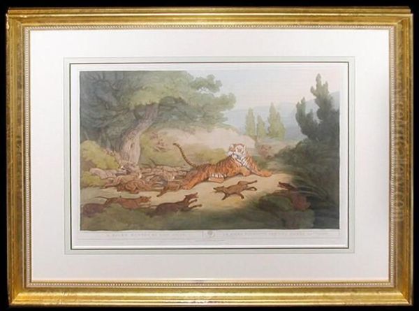 A Tiger Hunted By Wild Dogs Oil Painting by Samuel Howitt