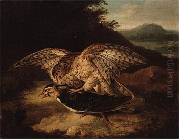 A Hawk And Plover Oil Painting by Samuel Howitt