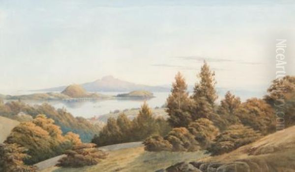 View Of Auckland From Parkroad Oil Painting by John Barr Clarke Hoyte