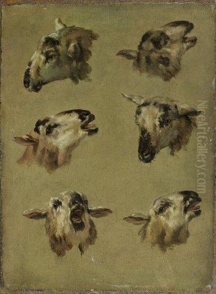 Six Etudes De Tetes De Moutons Oil Painting by Jean-Baptiste Huet I