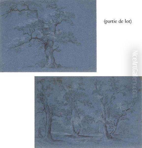 Suite De Trois Etudes D'arbres Oil Painting by Jean-Baptiste Huet I