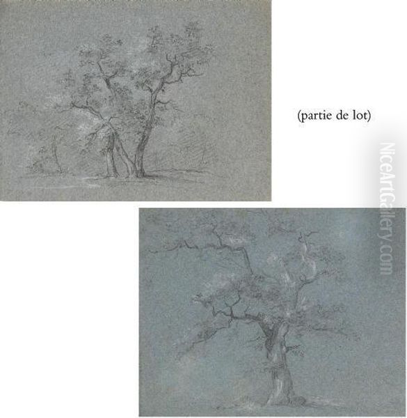 Suite De Quatre Etudes D'arbres Oil Painting by Jean-Baptiste Huet I